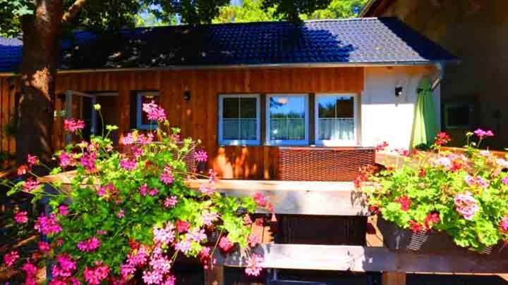 Hof Stallegg Löffingen Eksteriør billede